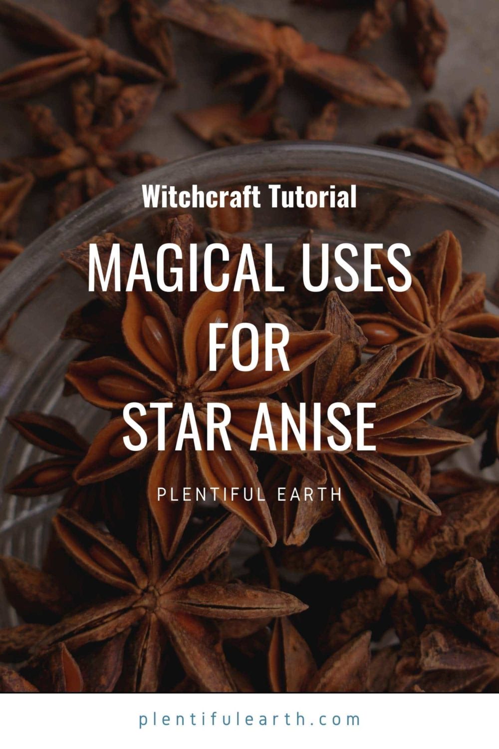 Star Anise: Magical Properties & Spiritual Uses