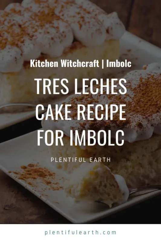 Tres Leches Cake Recipe for Imbolc 2 tres leches cake recipes for imbolc 1