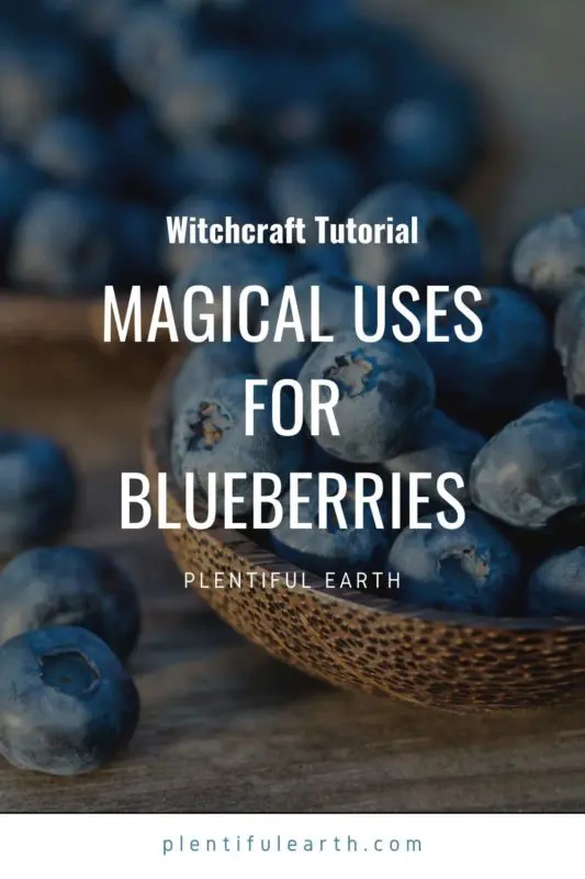 Magical Properties of Blueberries | How to Use Blueberries in Magic Spells 2 An image to share on Pinterest