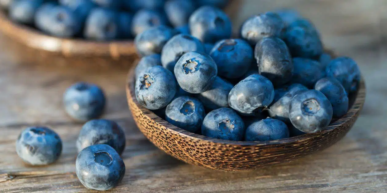 Magical Properties of Blueberries | How to Use Blueberries in Magic Spells 1 A bowl full of ripe blueberries sitting on a rustic wooden surface, exuding a spiritual ambiance.
