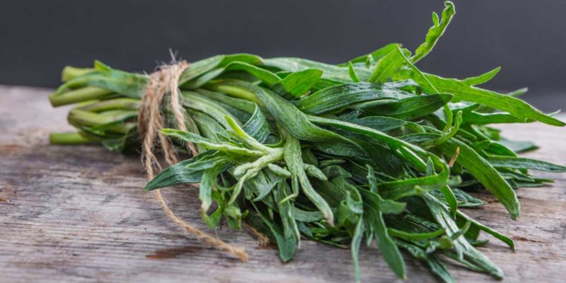 Magical Properties of Tarragon | How to Use Tarragon in Spells 9 A fresh bunch of tarragon herbs tied with twine, lying on a rustic wooden surface with a dark background, perfect for any metaphysical shop.