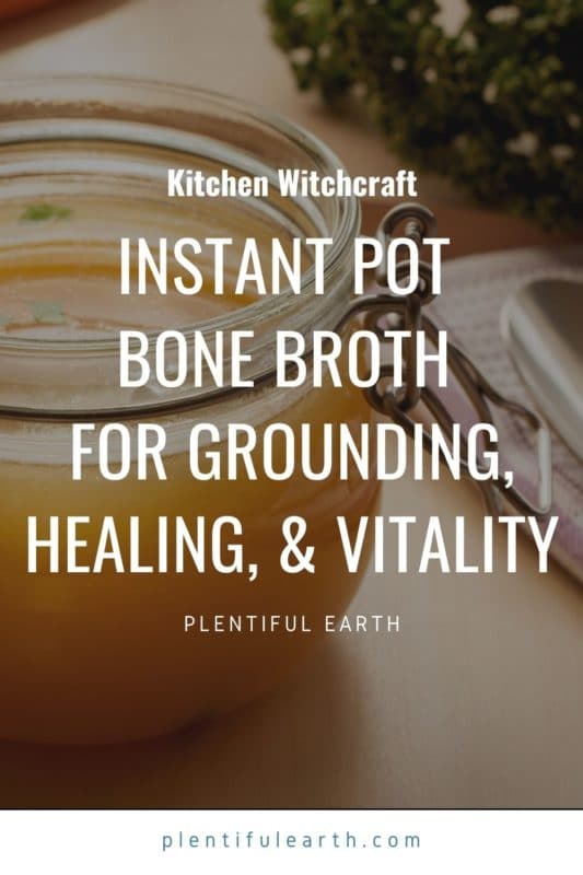 Instant Pot Bone Broth Recipe for Grounding Healing and Vitality