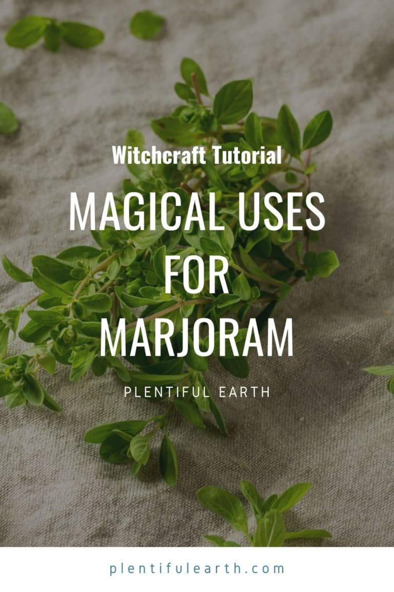Magical Properties Of Marjoram Plentiful Earth