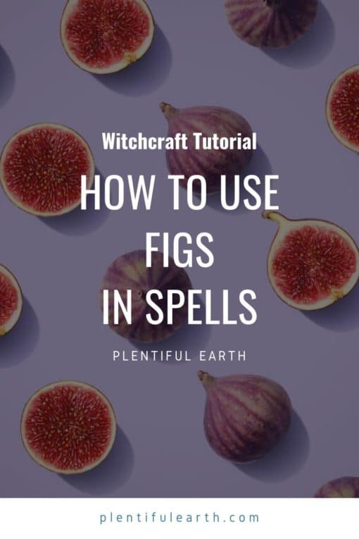 Fig's Magical Properties & Uses In Spells Plentiful Earth