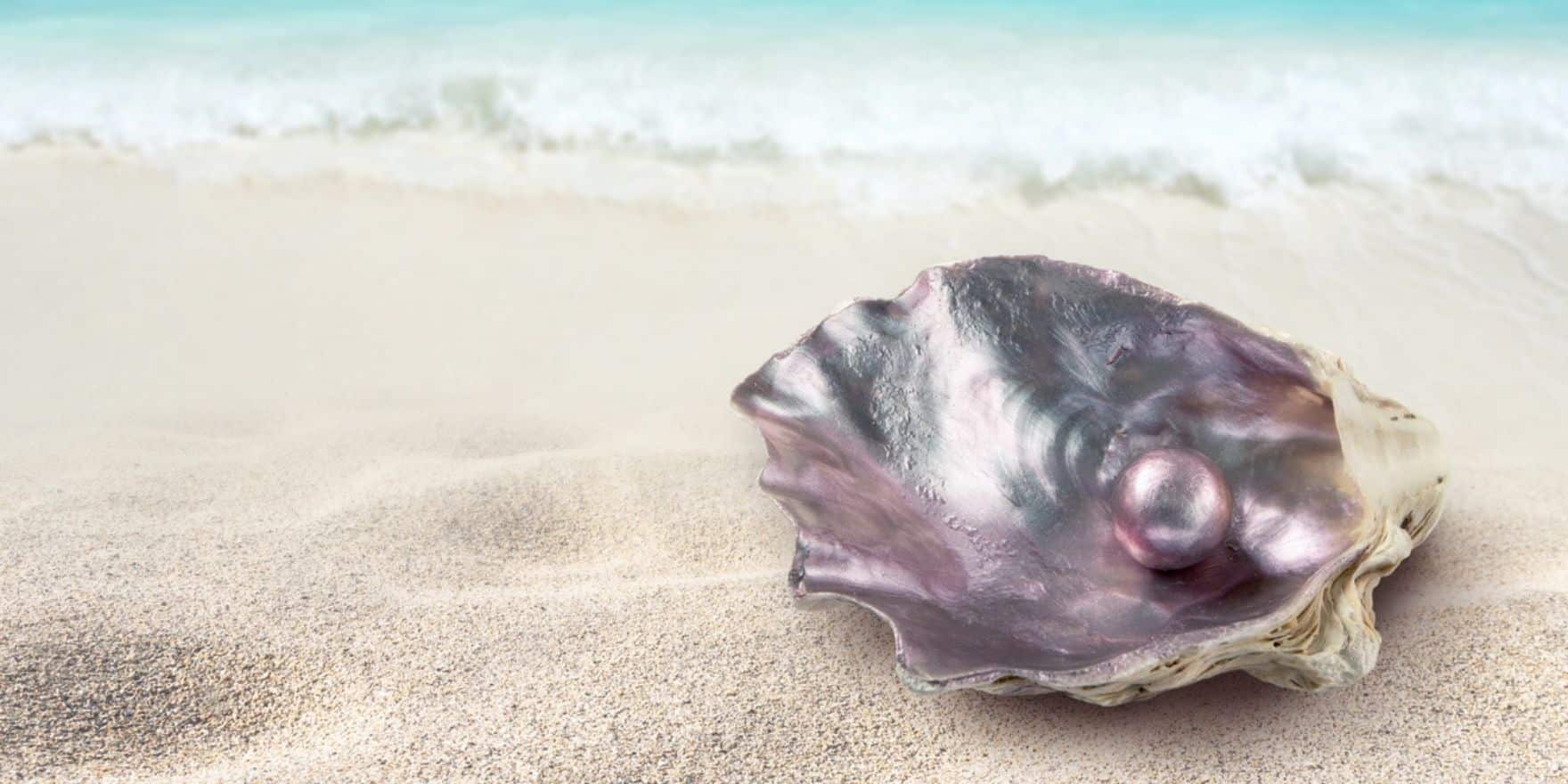 a pearl in a shell on the beach