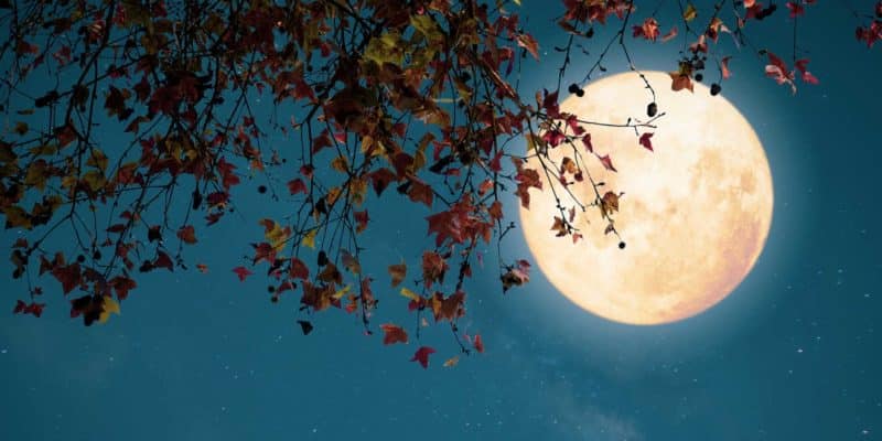 The Full Harvest Moon Is Here: How To Work With Its Energies