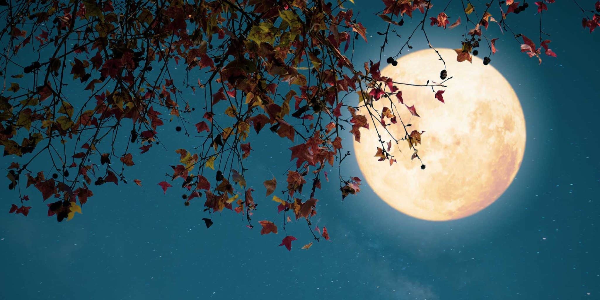 Full Harvest Moon: 9 Things To Do During This Full Moon