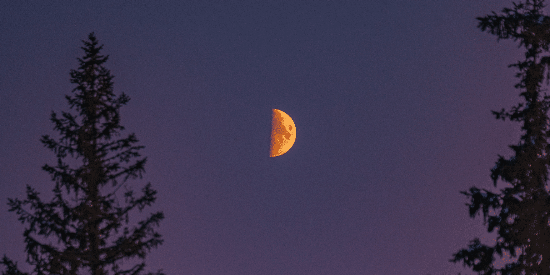 A beautiful first quarter moon against a purple twilight sky