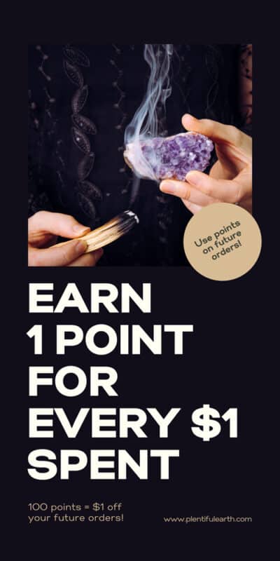 earn 1 point for every dollar you spend