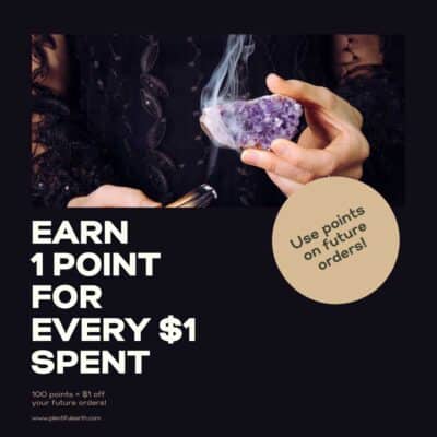 Earn 1 point for every $1 spent