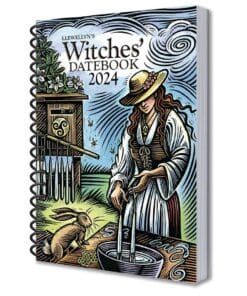 A woodcarving illustrated cover of a witch pouring water into a bowl