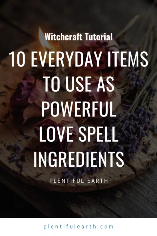 Household Items For Love Spells: 10 Items You Already Have 12 a close up of flowers