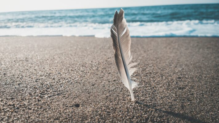 feathermeaning Plentiful Earth | Global Spirituality A gray and white feather standing upright in the sand of a beach, with waves breaking behind it.