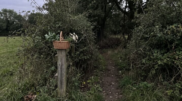 hedgewitch Plentiful Earth | Global Spirituality A dirt footpath passing through a gap in an old hawthorn hedge at dusk, with a small basket of freshly picked mugwort and yarrow on a weathered fence post beside the gap.