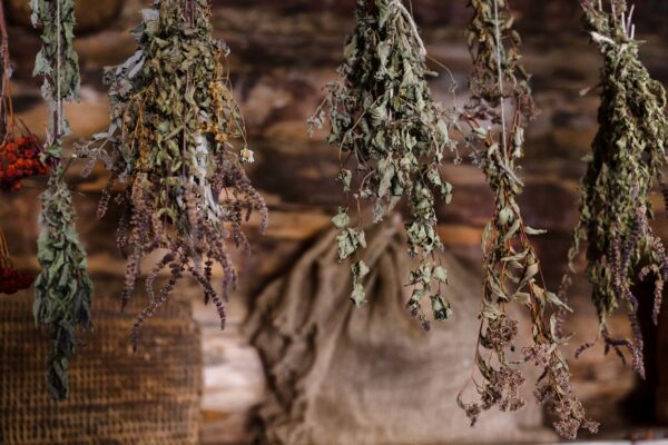 Dried herb bundles for protection Plentiful Earth | Global Spirituality Bundles of dried herbs hanging upside down to dry against a wooden wall