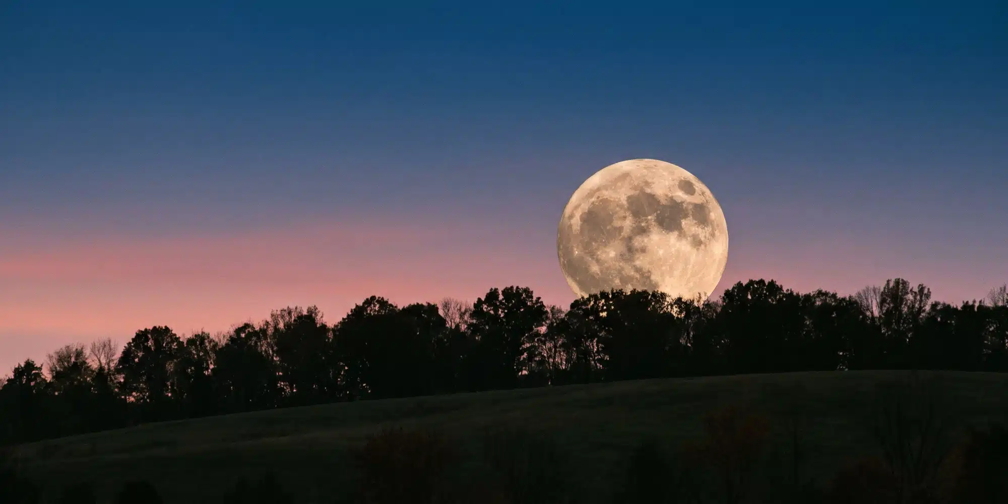 A large full moon rising behind a line of trees on a hill at dusk, under a blue and rose sky.