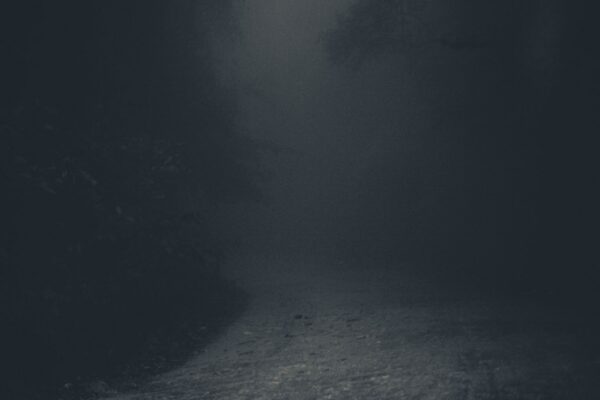 The veil is thin Plentiful Earth | Global Spirituality A misty gravel path curving into a dark forest at night, with pale light glowing through the fog between the trees.