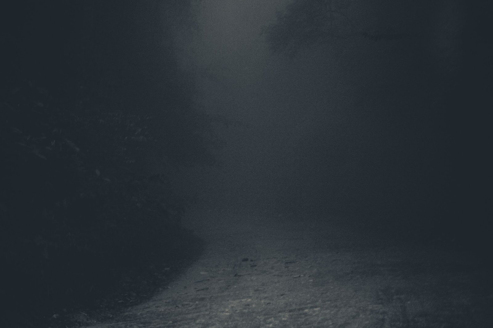 A misty gravel path curving into a dark forest at night, with pale light glowing through the fog between the trees.