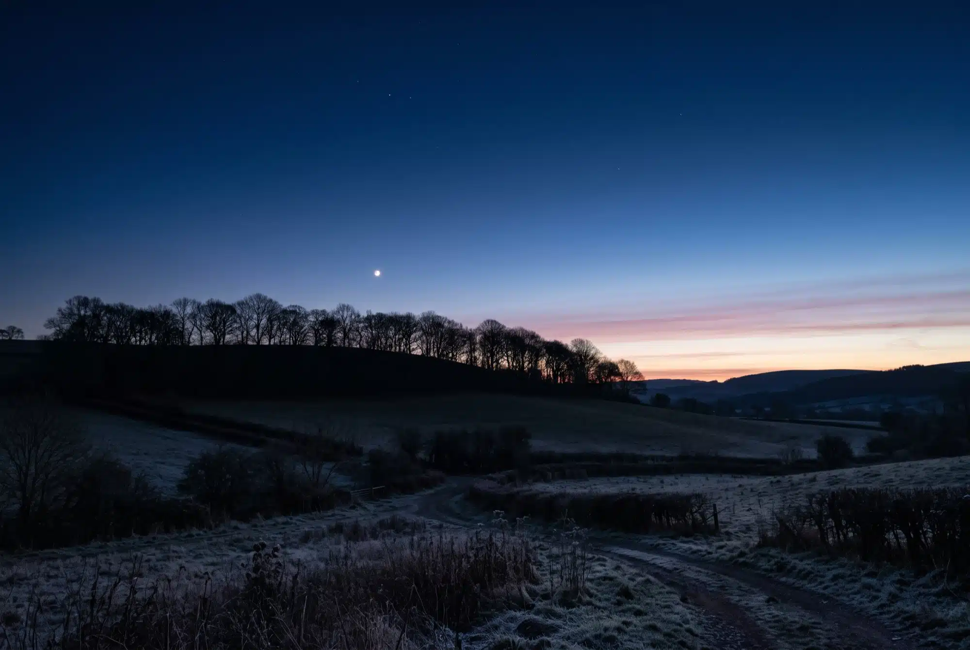 Moon visible in a deep blue twilight sky over a silhouette of bare trees along a snow-dusted hillside.